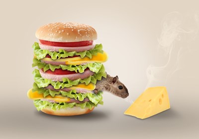 Secrets of getting free advertising