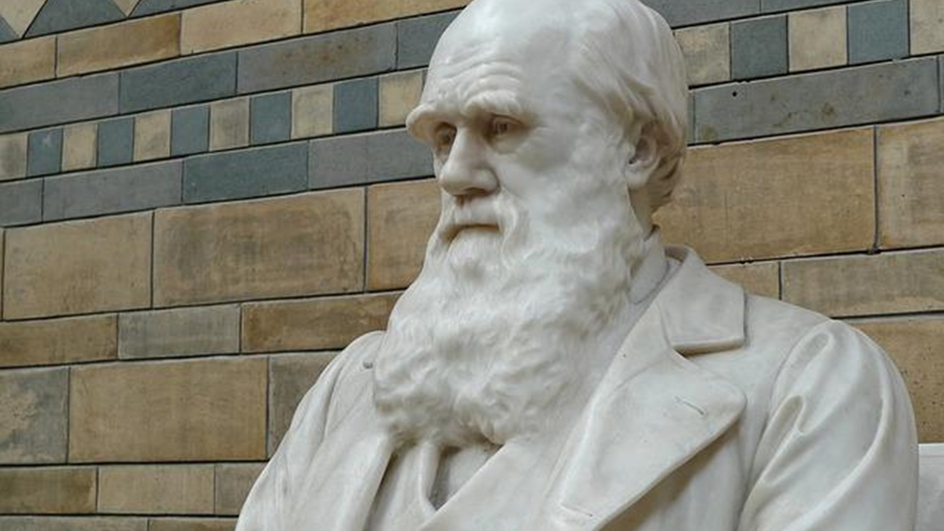 Charles Darwin and you