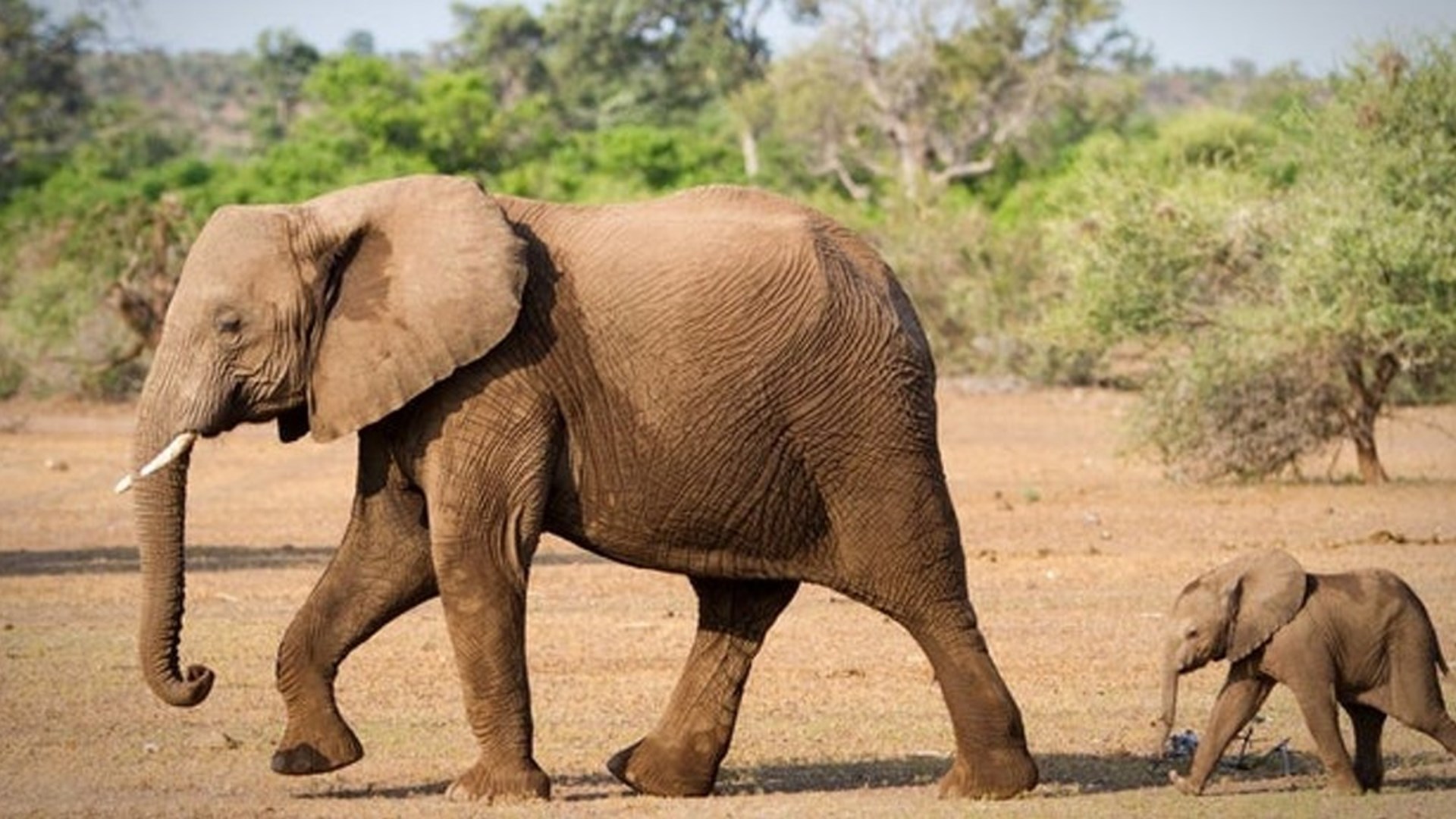 Are you thinking 1. BIG enough and 2. SMALL enough?