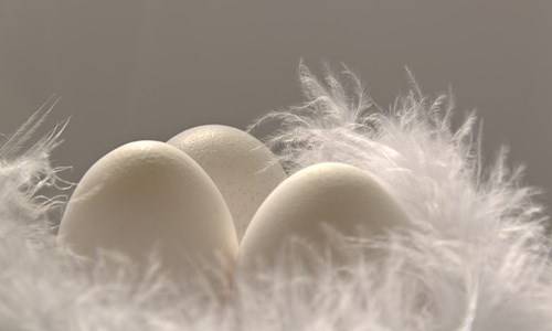Ditch the fluff