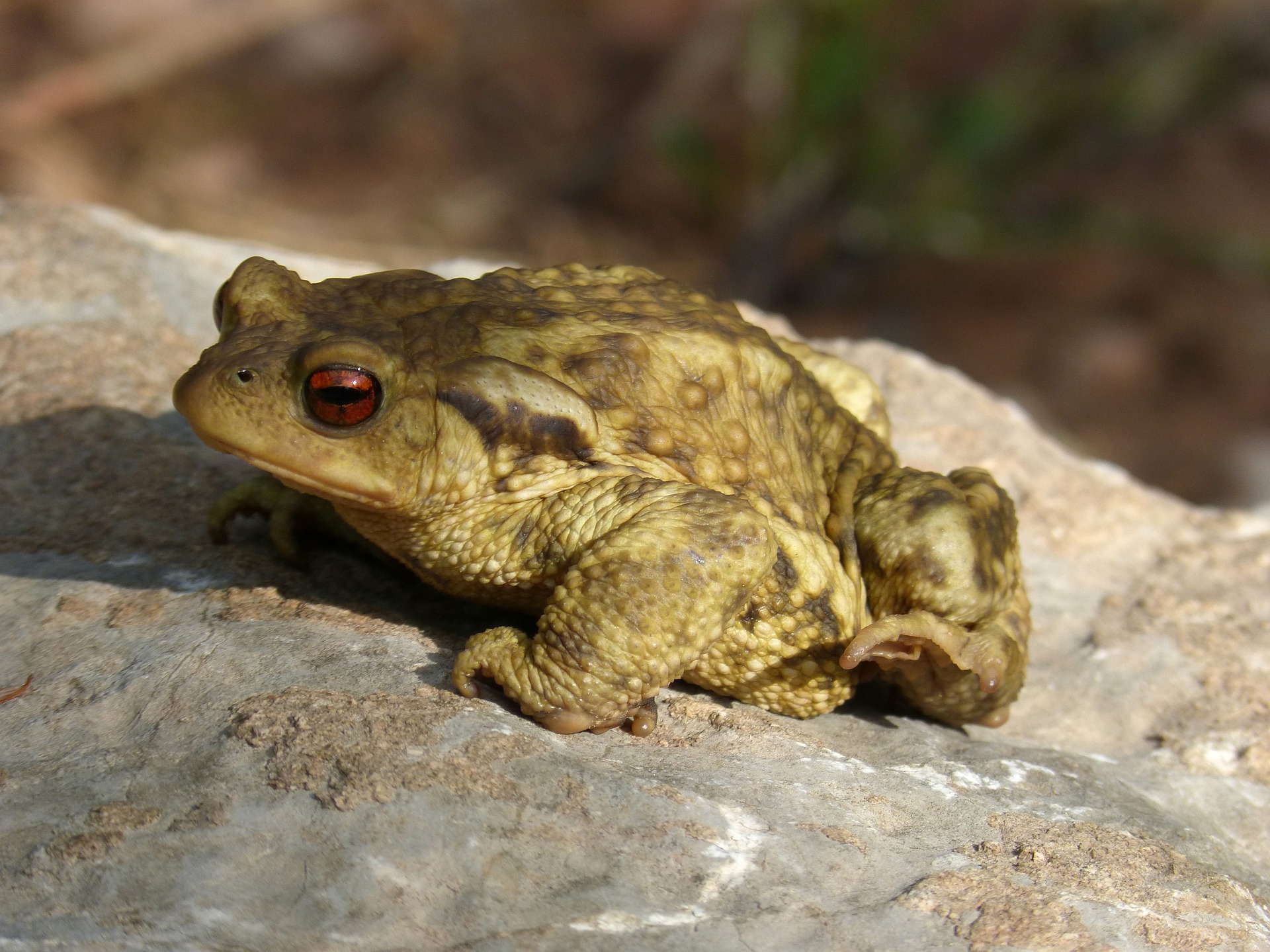 Become your brand - warts and all