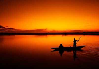 Funnels, funnels, funnels, and fishing!