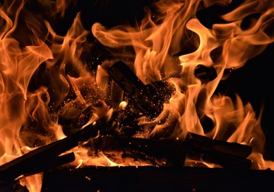 Create a viral report that spreads like wildfire